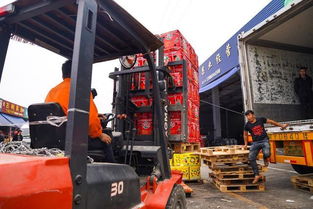 海峽兩岸攜手，滯銷水果變暢銷——物流城倉儲服務助力臺農脫困